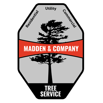 madden-tree-footer