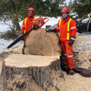 two members of the madden tree service team stand next to a felled tree